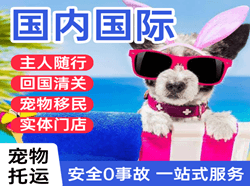 鄂伦春航空物流国际宠物托运 【国